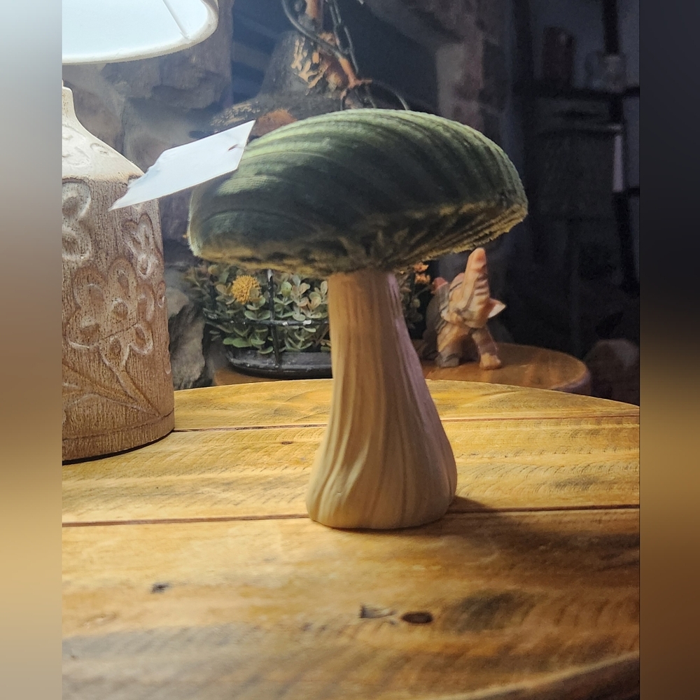 NWT Velvet Mushroom